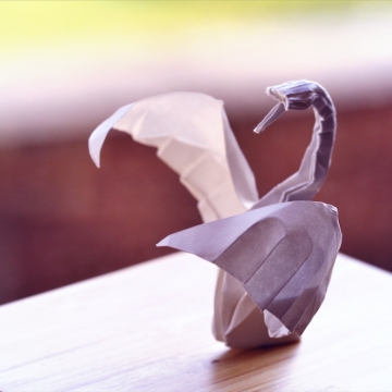 cinquieme en avant, white origami swan, designed by Hoang Tien Quyet