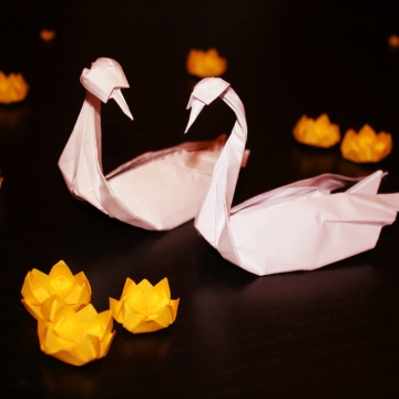 together, pair or white origami swans surrounded by yellow waterlilies, designed by Daniel Sancho